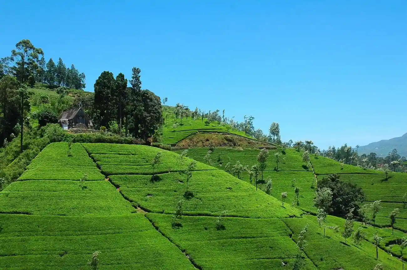 City, Hills & Beach Tour